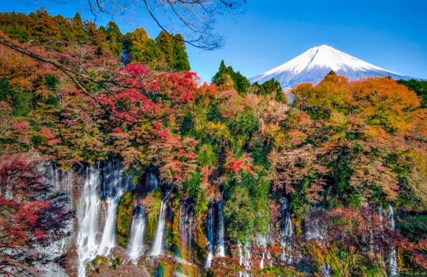 Photo of Shiraito waterfall and Fuji Mountain with Colourful Maple Trees at Fujinomiya, Shizuoka, Japan in Autumn