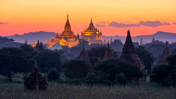 grande pagode dourada no crepúsculo com arroz arquivado em bagan, myanmar - shwedagon pagoda yangon sunset pagoda - fotografias e filmes do acervo