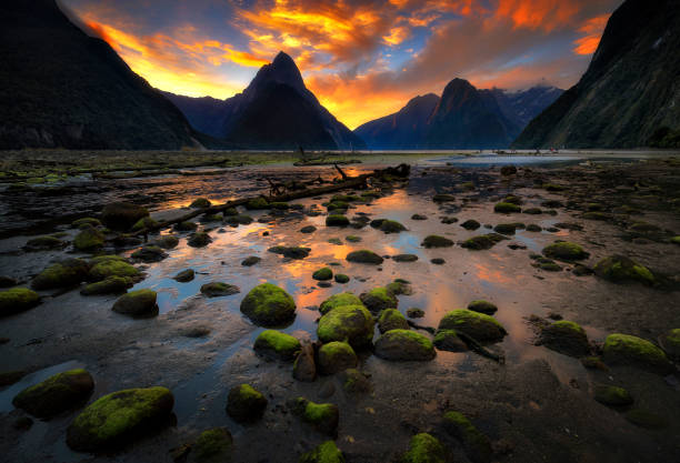 istock Colourful Sky Milford Sound at Twilight Time 827639762