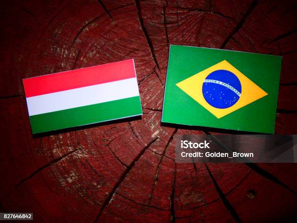 Foto de Pavilhão Húngaro Com Bandeira Brasileira Em Um Toco De Árvore Isolada e mais fotos de stock de Acordo