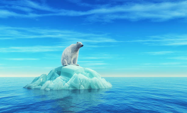 북극곰 빙산에 앉아 - 빙산 얼음 형태 뉴스 사진 이미지