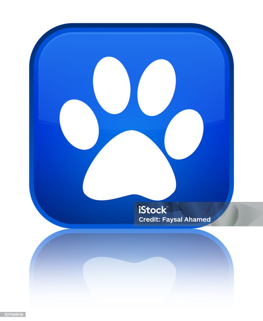 Animal Footprint Icon Special Blue Square Button Stock Illustration -  Download Image Now - Animal, Animal Body Part, Blue - iStock