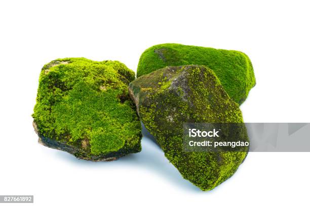 Green Moss And Stone Isolated On White Background Stock Photo - Download Image Now - Moss, Stone - Object, Cut Out