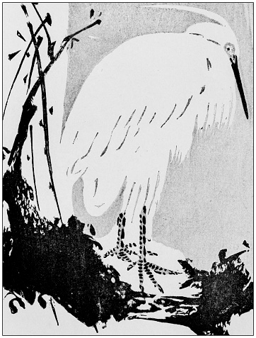 Antique Japanese Illustration: Crane by Bunrei