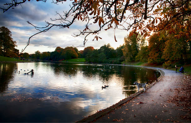 istock Autumn colors on public park 827681410