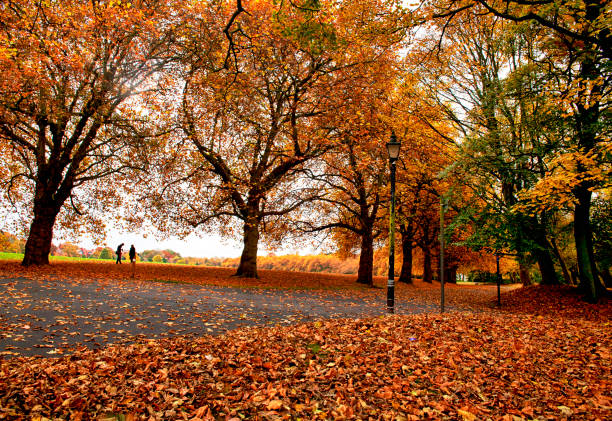 Autumn colors on public park