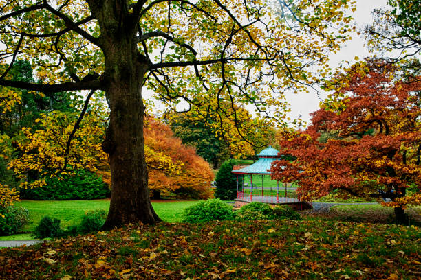istock Autumn colors on public park 827683858