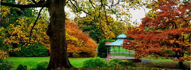 istock Autumn colors on public park 827684040