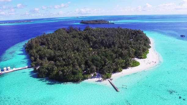 istock Nature on the Maldives 827684056