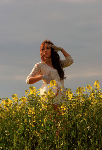 istock Sunset Beauty in a Field 827687280