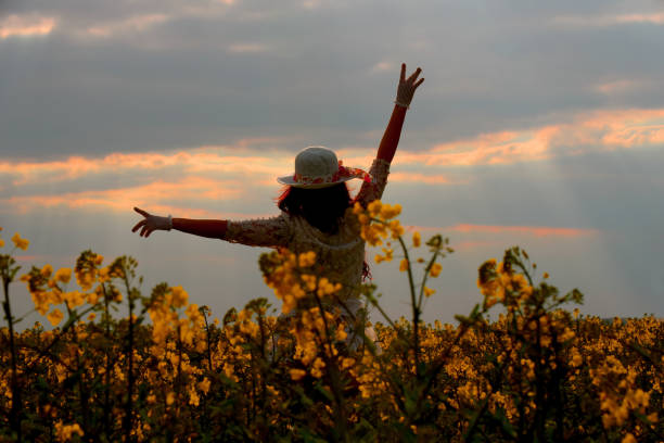 istock Sunset Beauty in a Field 827687284