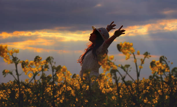 istock Sunset Beauty in a Field 827687310