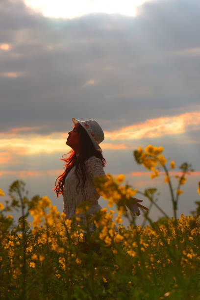 istock Sunset Beauty in a Field 827687358
