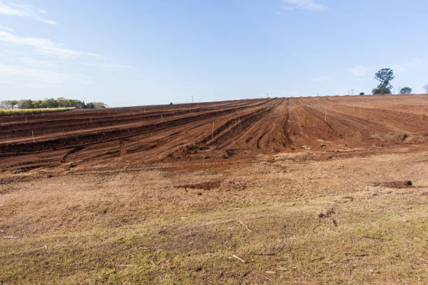 istock Plowed Farm Field Landscape 827687630