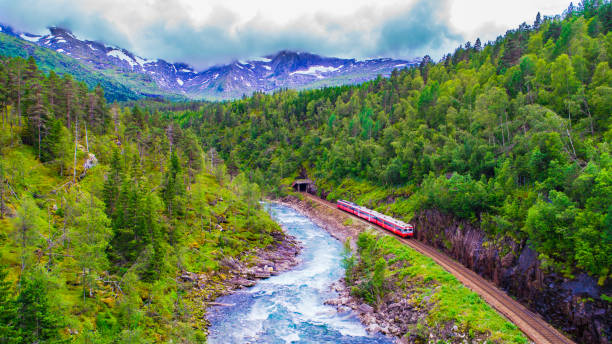 tren de oslo - bergen en las montañas. noruega. - railroad track train journey rural scene fotografías e imágenes de stock