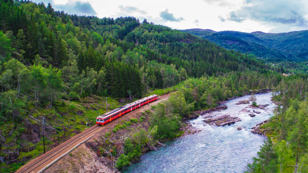 Train Oslo - Bergen in mountains. Norway.