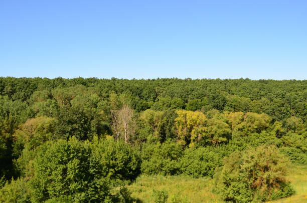 istock View of the field from the train. 827705350