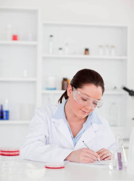 istock Portrait of a young scientist preparing a report 827705608