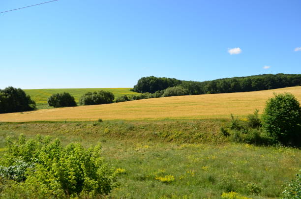 istock View of the field from the train. 827710614