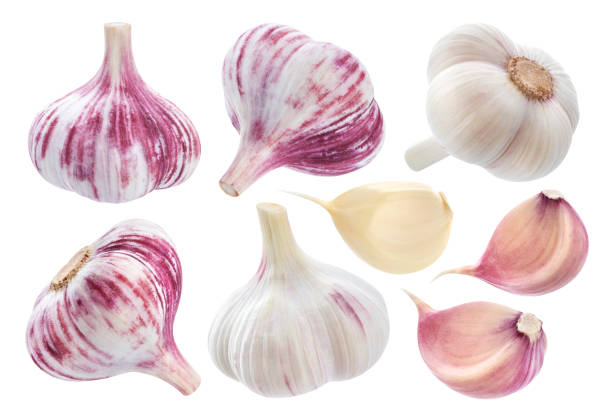 Garlic elements isolated on white background Isolated garlic. Whole garlic, one segment and clove isolated on white background with clipping path garlic bulb photos stock pictures, royalty-free photos & images