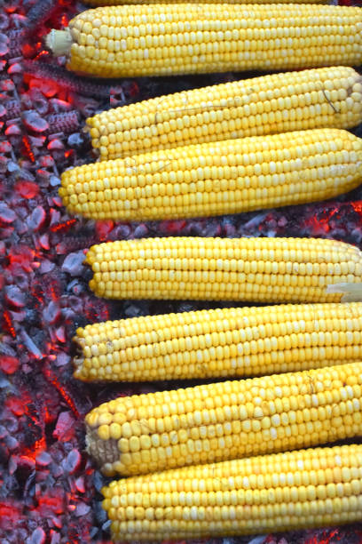 kukurydza na grillu pieczona kukurydza - corn on the cobb zdjęcia i obrazy z banku zdję�ć