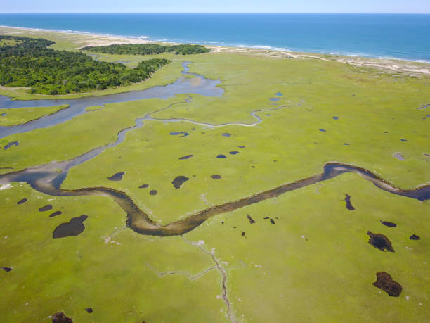 antenna di scenic marsh su cape cod - cape cod new england sea marsh foto e immagini stock