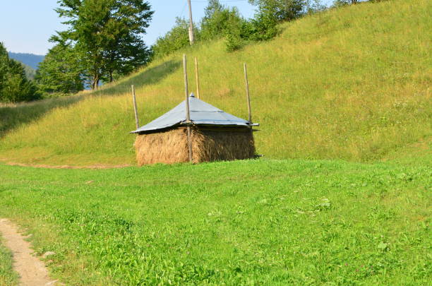 The village in mountains.