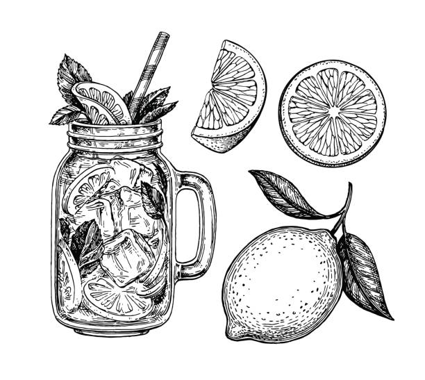 lemonade and lemon Lemon set. Isolated on white background. Hand drawn vector illustration. Retro style ink sketch. juice drink illustrations stock illustrations