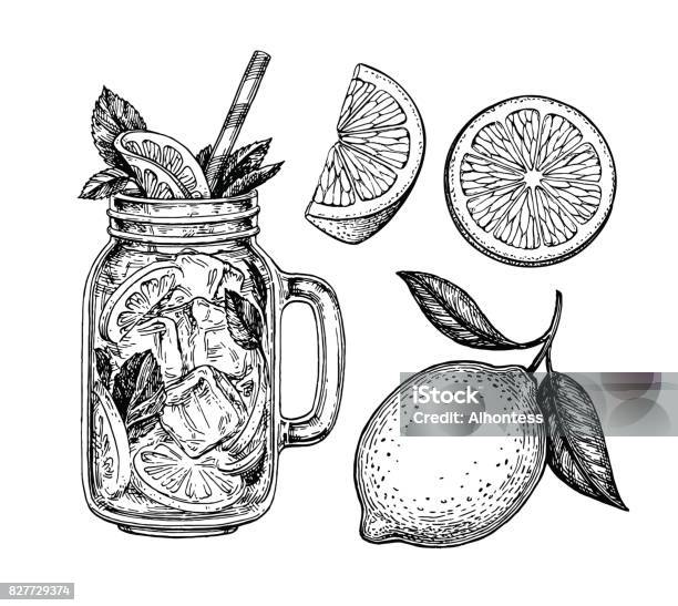 Lemonade And Lemon Stock Illustration - Download Image Now - Lemon - Fruit, Illustration, Engraved Image