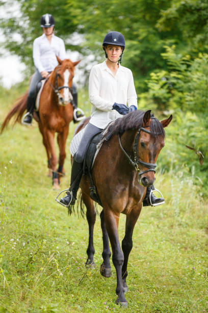 istock Two rider woman on horses going down from the hill 827733822