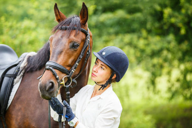 馬を保持しているヘルメットで若いライダー女性 - riding horse for leisure ストックフォトと画像