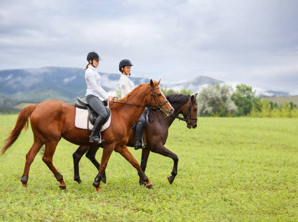 Young women riding horses on mountain meadow Two young women riding horses on green mountain meadow. Equestrian activity background equestrian event photos stock pictures, royalty-free photos & images