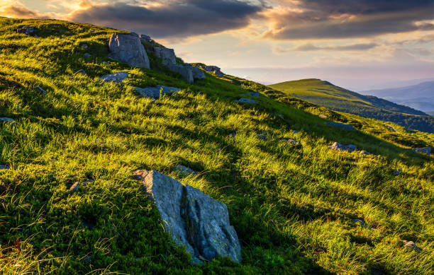 istock grassy meadow on mountain slope 827739822