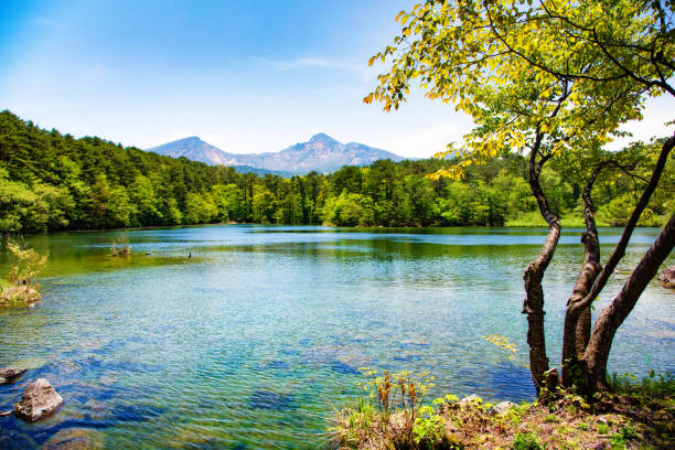 Japan Mount Bandai with lake and tree in Springtime
