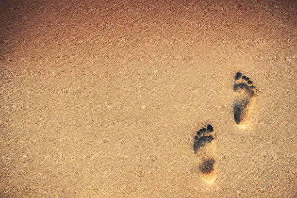 istock Footsteps or footprints on the sandy beach, sunrise shot 827754834