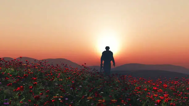 3D render of a soldier walking in a poppy field