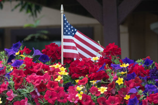 Flowers and flag celebration of Fourth of July Flag and flowers celebrating Fourth of July  Oregon american flag flowers stock pictures, royalty-free photos & images