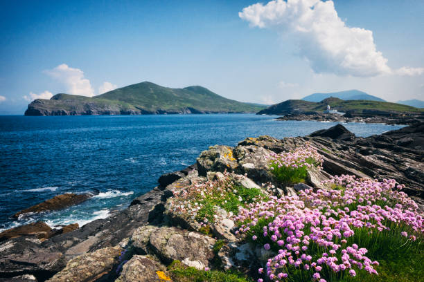 istock Valentia Island lighthouse in County Kerry, Ireland 827783338