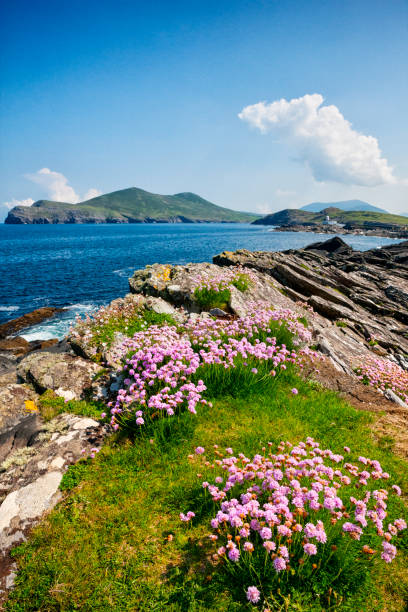 istock Valentia Island lighthouse in County Kerry, Ireland 827783512