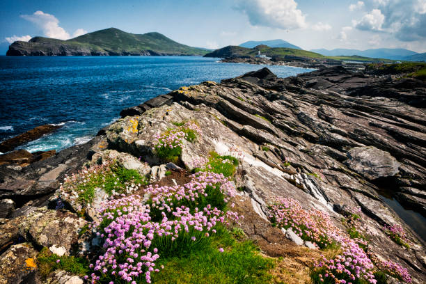 istock Valentia Island lighthouse in County Kerry, Ireland 827783538