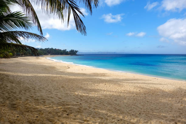 istock Beautiful and calm tropical beach in Philippines 827788352