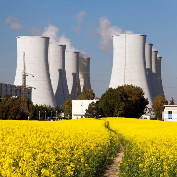 istock Nuclear power plant, cooling tower, field of rapeseed 827795246