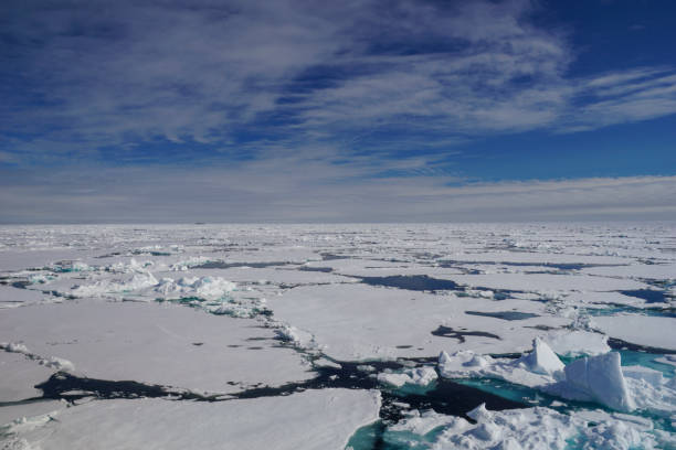 istock Breathtaking Views of the Arctic Pack Ice near Svalbard 827802484