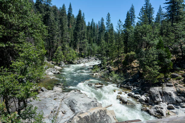 north fork stanislaus river - wooden raft photos et images de collection