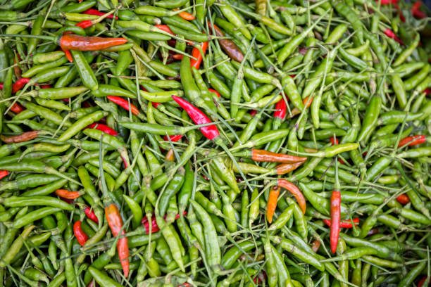 istock red chili pepper and green chili pepper 827807716