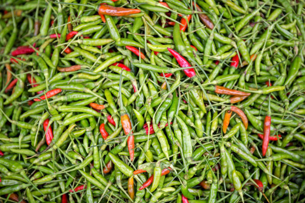 istock red chili pepper and green chili pepper 827810898