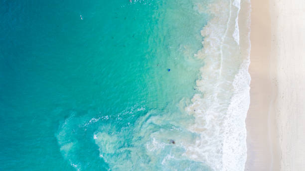 istock Aerial View of Crystal Cove State Beach 827814962