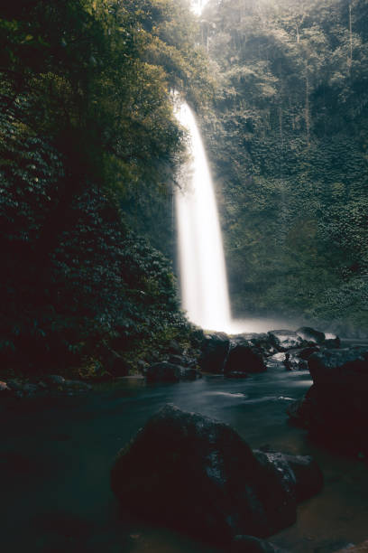 istock Nungnung Waterfall Splashing in Bali Jungle, Indonesia 827825338