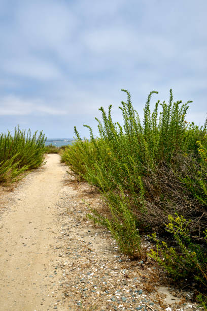 path towards Silverstrand beach, San Diego County stock photo