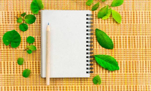 istock Notepad with pencil and dry leafon on wood board background. using wallpaper or background for education, business photo. Take note of the product for book with paper and concept, copy space. 827834192
